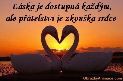 labutí srdce